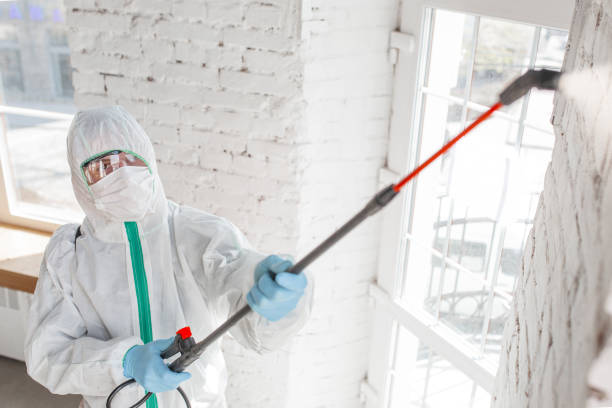 Best Post-Remediation Verification Testing  in Candler Mcafee, GA
