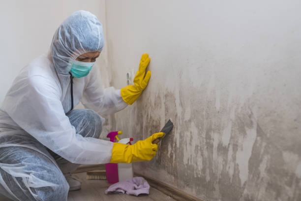 Best Mold Prevention Services  in Candler Mcafee, GA