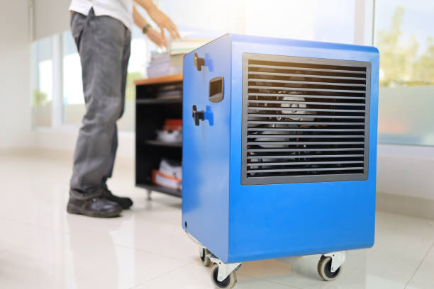 Best Emergency Mold Remediation  in Candler Mcafee, GA