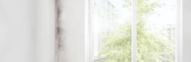Best Mold Removal for HVAC Installations  in Candler Mcafee, GA